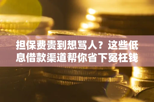济南担保费贵到想骂人？这些低息借款渠道帮你省下冤枉钱
