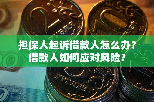 济南担保人起诉借款人怎么办？借款人如何应对风险？